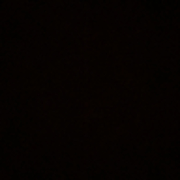 Meet your Posher, Elizabeth - Picture 1 of 1